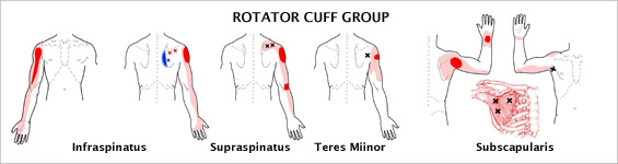 rotator-cuff-grp